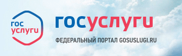 Электронное правительство. Госуслуги